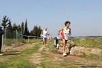 IMG_3778.jpg