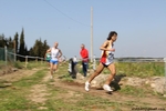 IMG_3779.jpg