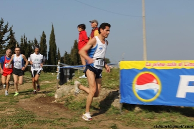 Clicca per vedere l'immagine alla massima grandezza