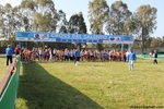 IMG_2678.jpg