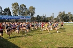 IMG_2703.jpg