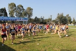 IMG_2704.jpg