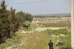 IMG_2774.jpg