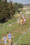 IMG_2782.jpg
