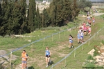IMG_2794.jpg