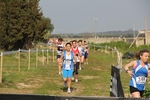 IMG_2798.jpg
