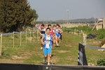 IMG_2799.jpg