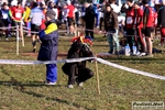 23_01_2011_Treviglio_Trofeo_Monga_foto_Roberto_Mandelli_0507.jpg