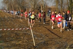 SAM_2394_1.jpg