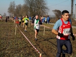 SAM_2406_copy.jpg