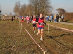 SAM_2407.jpg