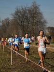 SAM_2442_copy.jpg