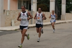 tur_617.jpg