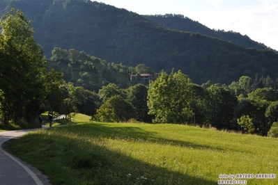 Clicca per vedere l'immagine alla massima grandezza