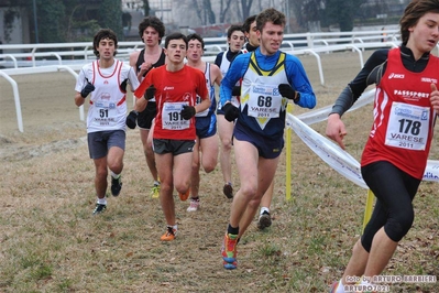 Clicca per vedere l'immagine alla massima grandezza