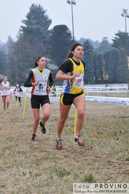 Clicca per vedere l'immagine alla massima grandezza