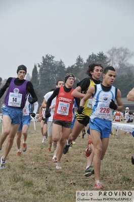 Clicca per vedere l'immagine alla massima grandezza