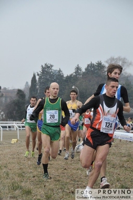 Clicca per vedere l'immagine alla massima grandezza
