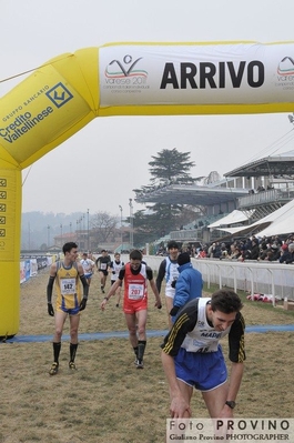 Clicca per vedere l'immagine alla massima grandezza