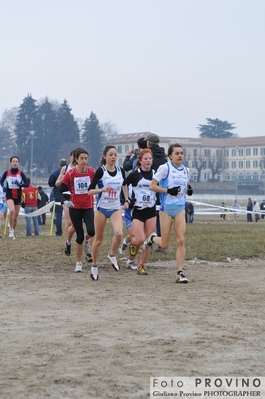 Clicca per vedere l'immagine alla massima grandezza