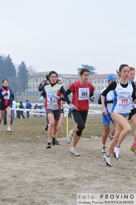 Clicca per vedere l'immagine alla massima grandezza