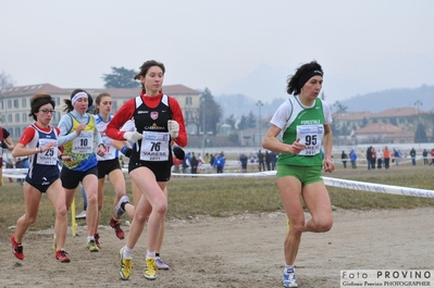 Clicca per vedere l'immagine alla massima grandezza