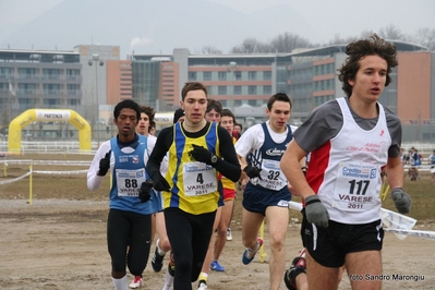 Clicca per vedere l'immagine alla massima grandezza