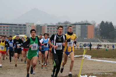 Clicca per vedere l'immagine alla massima grandezza