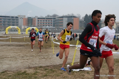 Clicca per vedere l'immagine alla massima grandezza