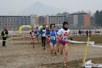 Clicca per vedere l'immagine alla massima grandezza