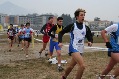 Clicca per vedere l'immagine alla massima grandezza