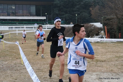 Clicca per vedere l'immagine alla massima grandezza