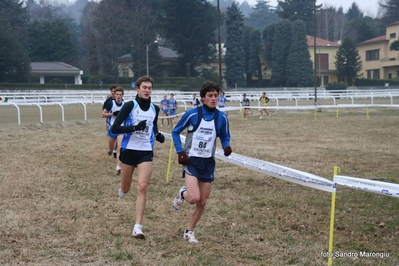 Clicca per vedere l'immagine alla massima grandezza