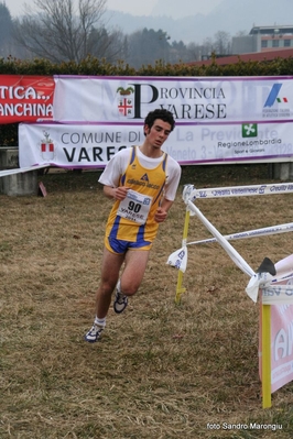 Clicca per vedere l'immagine alla massima grandezza