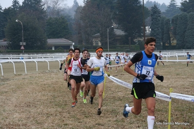 Clicca per vedere l'immagine alla massima grandezza