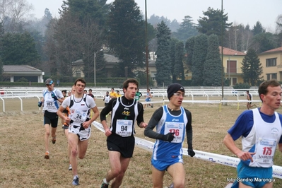 Clicca per vedere l'immagine alla massima grandezza