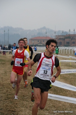 Clicca per vedere l'immagine alla massima grandezza