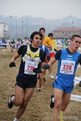 Clicca per vedere l'immagine alla massima grandezza