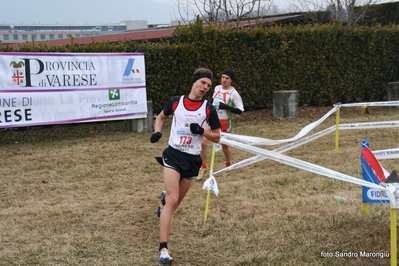 Clicca per vedere l'immagine alla massima grandezza