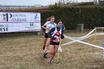 Clicca per vedere l'immagine alla massima grandezza