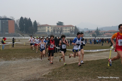 Clicca per vedere l'immagine alla massima grandezza