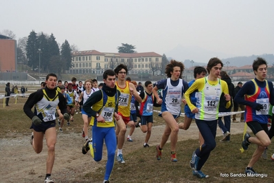 Clicca per vedere l'immagine alla massima grandezza