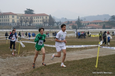 Clicca per vedere l'immagine alla massima grandezza