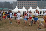 IMG_3290.jpg