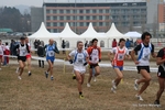 IMG_3304.jpg