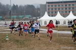 IMG_3306.jpg