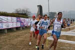 IMG_3340.jpg