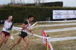 IMG_3449.jpg