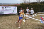 IMG_3459.jpg