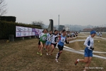IMG_3493.jpg